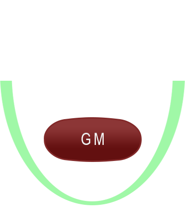 Lamprene Tablets
